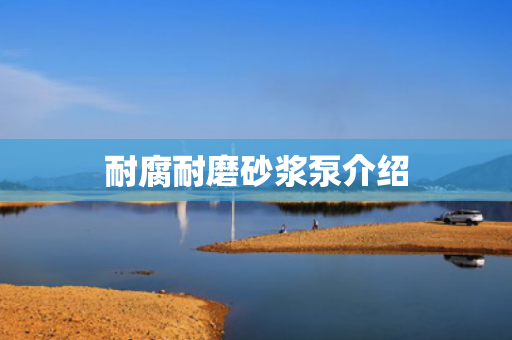 耐腐耐磨砂漿泵介紹