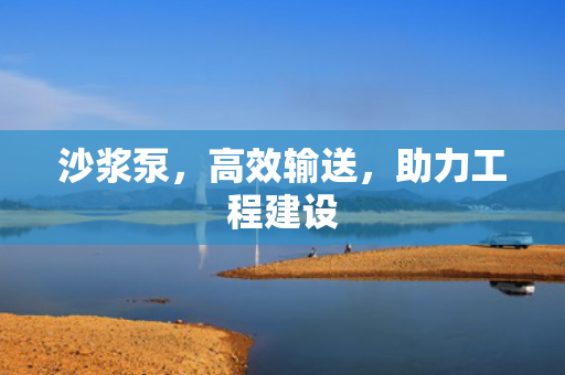 沙漿泵<div   id=
