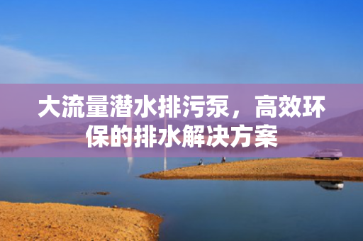 大流量潛水排污泵<div   id=