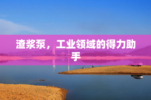渣漿泵<div   id=