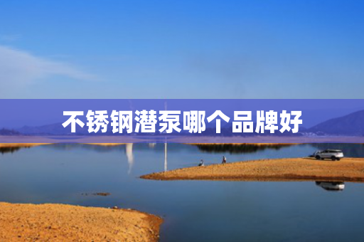 不銹鋼潛泵哪個(gè)品牌好