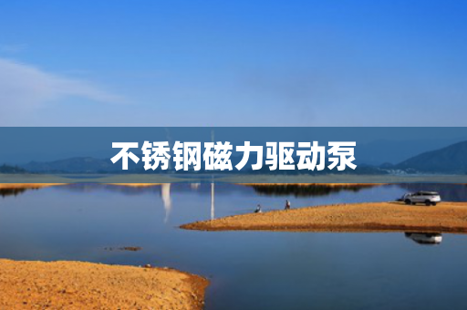 不銹鋼磁力驅(qū)動(dòng)泵