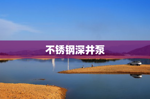 不銹鋼深井泵