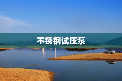 不銹鋼試壓泵
