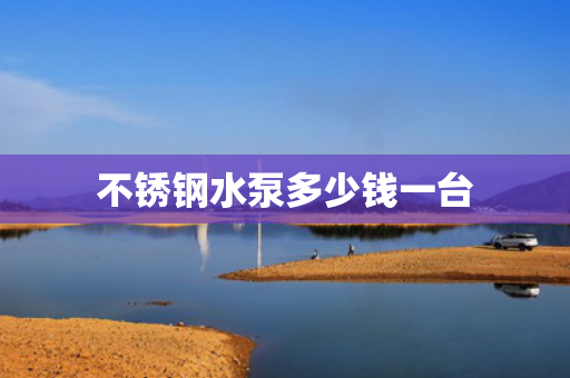 不銹鋼水泵多少錢一臺
