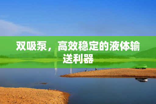雙吸泵<div   id=
