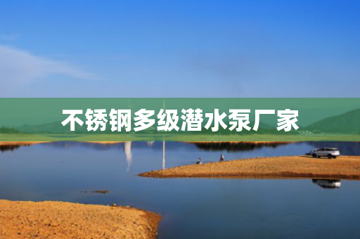 不銹鋼多級(jí)潛水泵廠家