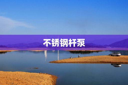 不銹鋼桿泵