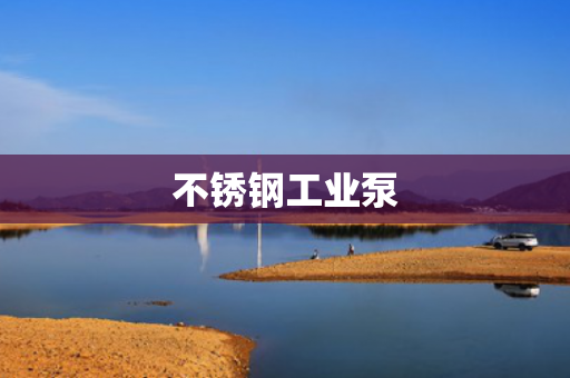 不銹鋼工業(yè)泵