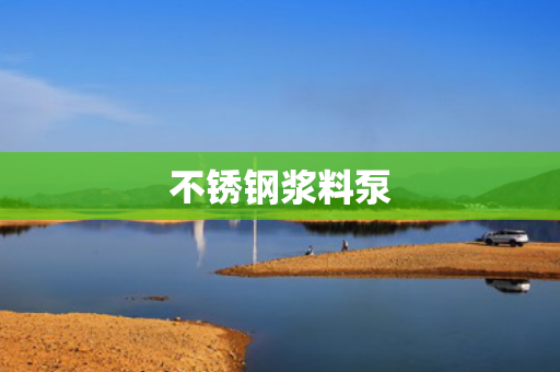 不銹鋼漿料泵