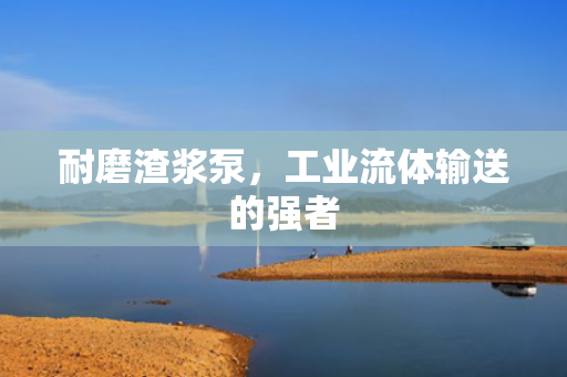 耐磨渣漿泵<div   id=