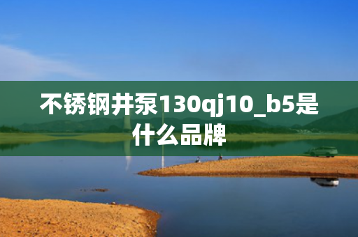 不銹鋼井泵130qj10_b5是什么品牌