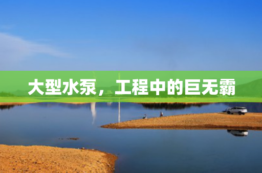大型水泵<div   id=