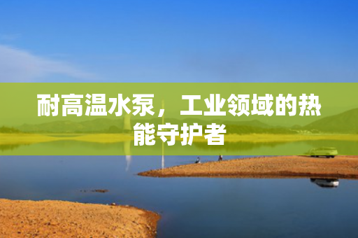 耐高溫水泵，工業(yè)領域的熱能守護者