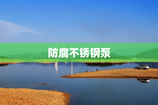 防腐不銹鋼泵