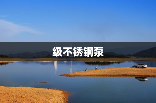 級不銹鋼泵