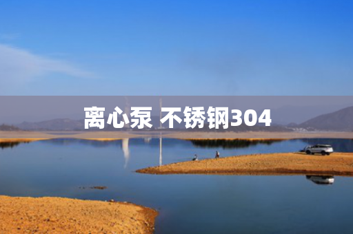 離心泵 不銹鋼304