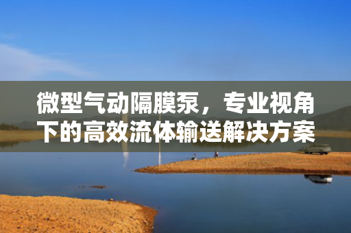 微型氣動隔膜泵<div   id=