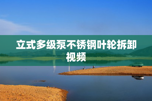 立式多級(jí)泵不銹鋼葉輪拆卸視頻
