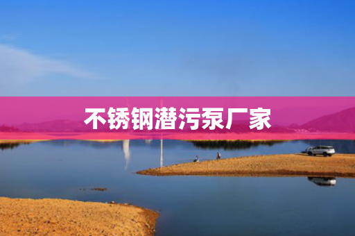 不銹鋼潛污泵廠家