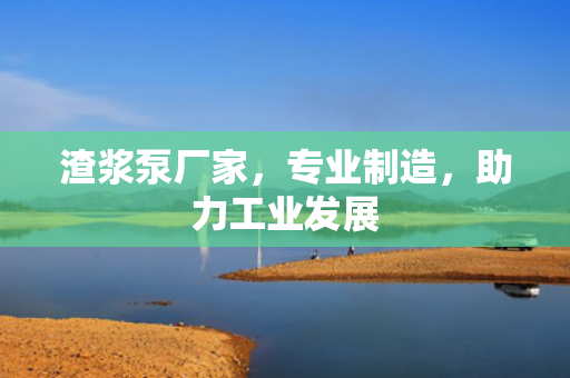渣漿泵廠家，專業(yè)制造<div   id=