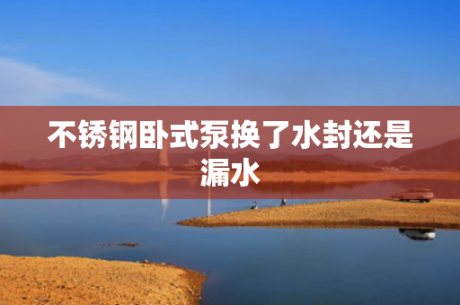 不銹鋼臥式泵換了水封還是漏水