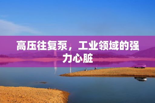 高壓往復(fù)泵<div   id=