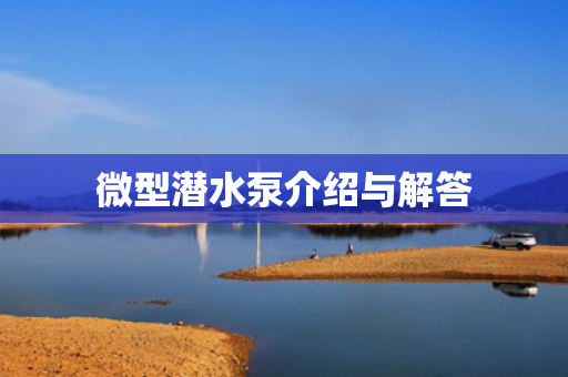 微型潛水泵介紹與解答