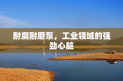 耐腐耐磨泵<div   id=