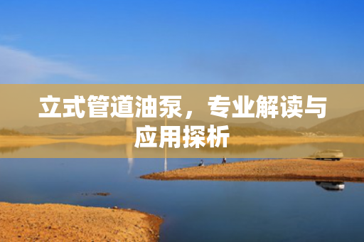 立式管道油泵，專業(yè)解讀與應用探析