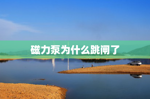 磁力泵為什么跳閘了