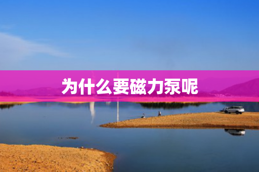 為什么要磁力泵呢