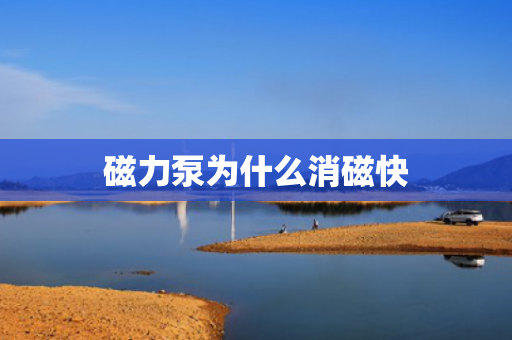 磁力泵為什么消磁快
