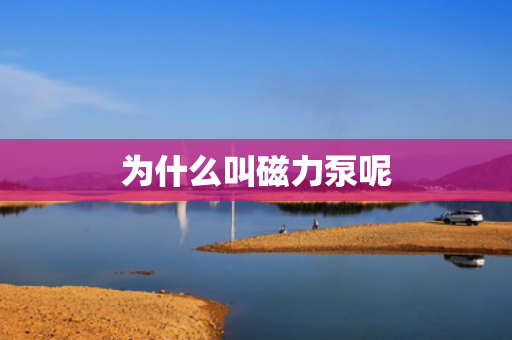 為什么叫磁力泵呢
