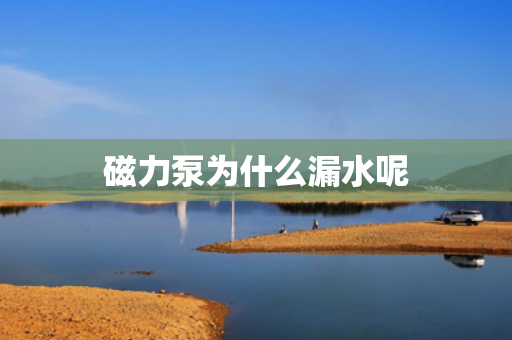 磁力泵為什么漏水呢