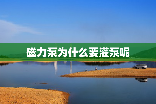 磁力泵為什么要灌泵呢