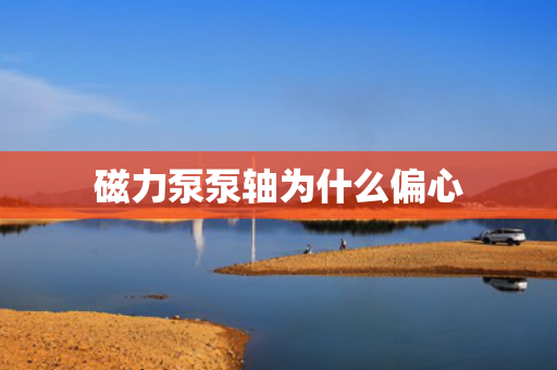 磁力泵泵軸為什么偏心