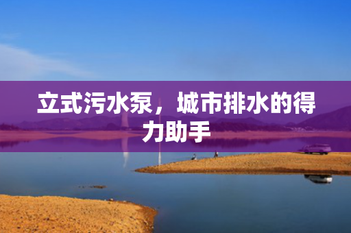 立式污水泵，城市排水的得力助手