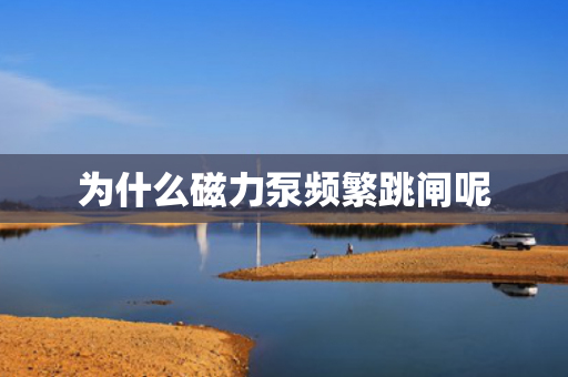 為什么磁力泵頻繁跳閘呢