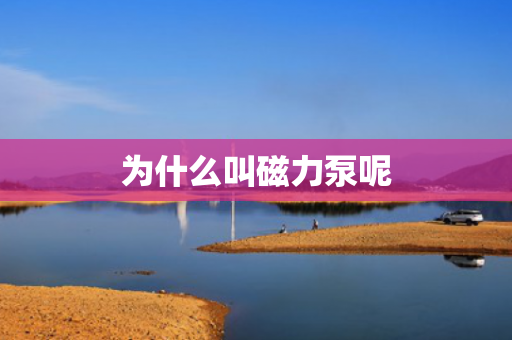 為什么叫磁力泵呢