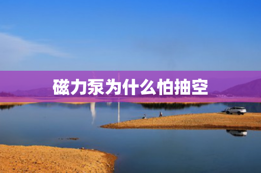 磁力泵為什么怕抽空
