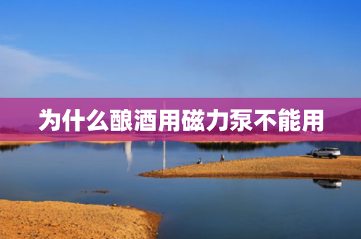 為什么釀酒用磁力泵不能用