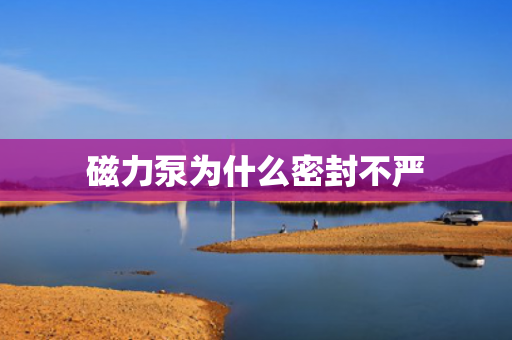 磁力泵為什么密封不嚴(yán)