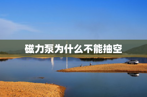 磁力泵為什么不能抽空