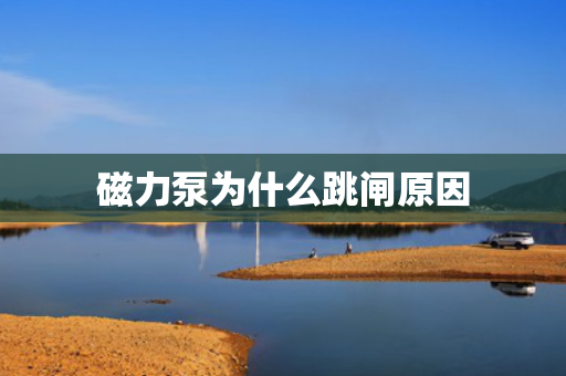 磁力泵為什么跳閘原因