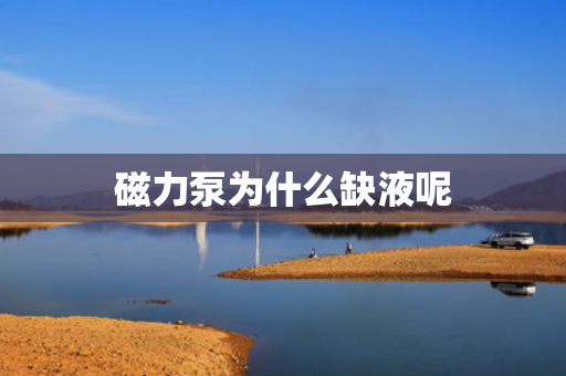 磁力泵為什么缺液呢