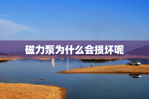 磁力泵為什么會(huì)損壞呢