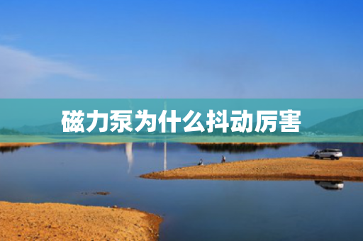 磁力泵為什么抖動(dòng)厲害