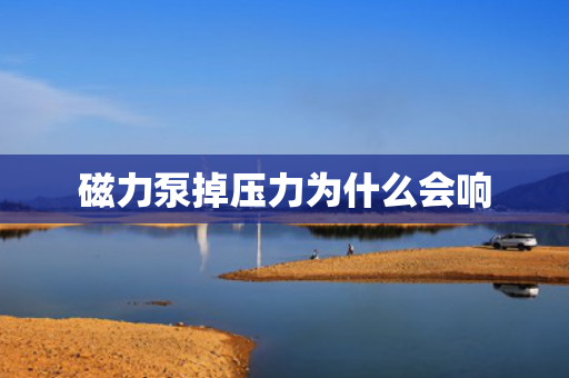 磁力泵掉壓力為什么會(huì)響