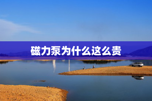 磁力泵為什么這么貴